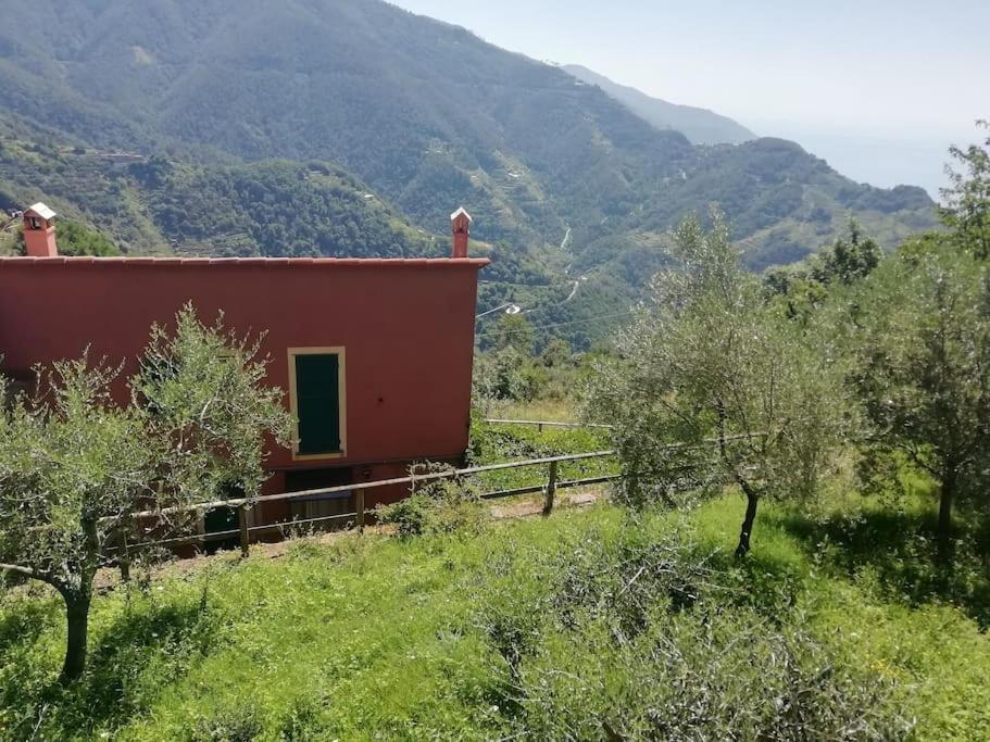 Quiet And Cozy Home With Wi-Fi Casa Prearino Vernazza Exteriér fotografie